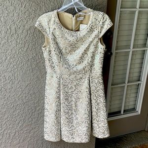 Calvin Klein Sequin Lace Dress